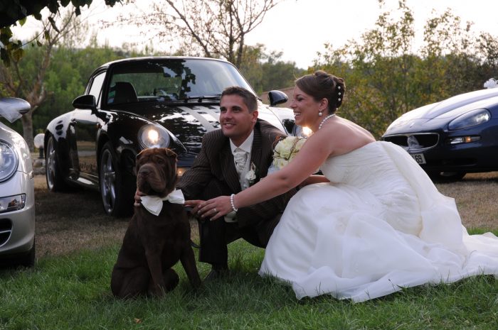chien-a-votre-mariage