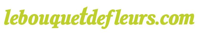 logo-lebouquetdefleurs